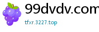 99dvdv.com